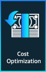 cost optimisation