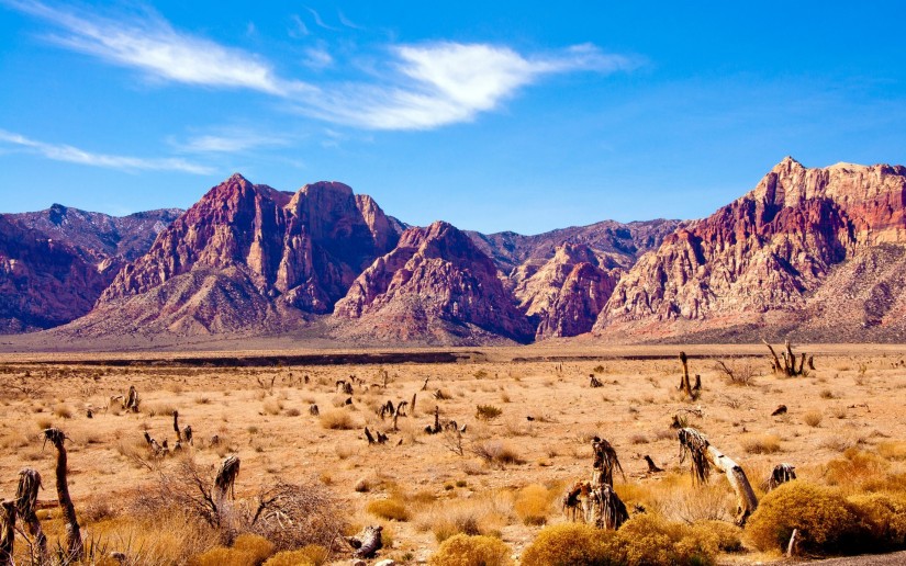 nevada-desert-rock-mountain-red-rock-canyon-nevada-825x516